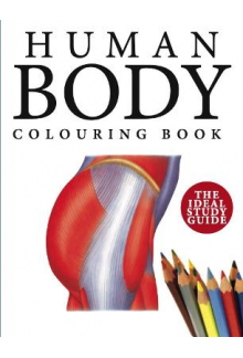 Human Body Colouring Book (The Ideal Study Guide) - Humanitas