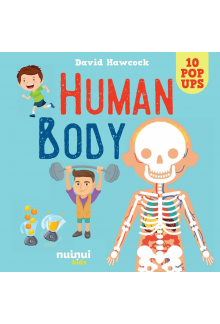 Human Body pop-up - Humanitas
