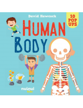 Human Body pop-up - Humanitas