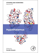 Hypothalamus - Humanitas
