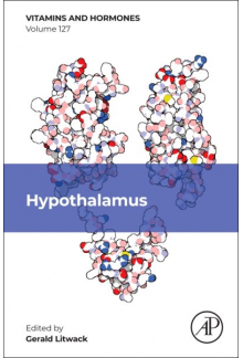 Hypothalamus - Humanitas