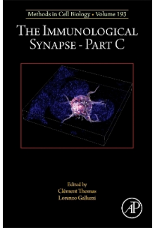 The Immunological Synapse Part C - Humanitas