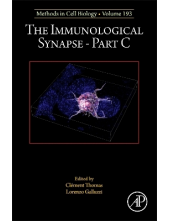 The Immunological Synapse Part C - Humanitas