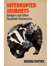 Interrupted Journeys - Humanitas