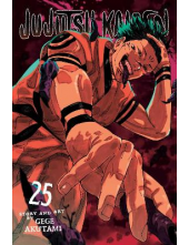 Jujutsu Kaisen, Vol. 25 - Humanitas
