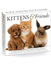Kittens & Friends Box 2025 Cal endar - Humanitas
