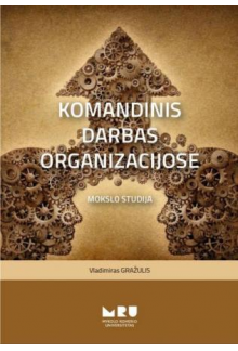 Komandinis darbas organizacijose - Humanitas