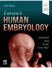 Larsen's Human Embryology - Humanitas