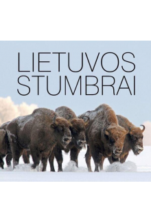 Lietuvos stumbrai - Humanitas