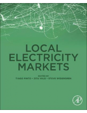 Local Electricity Markets - Humanitas