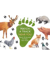 Match a Track Near You: Match 25 Animals To Their Paw Prints - Humanitas