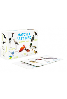 Match a Baby Bird - Humanitas