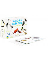 Match a Baby Bird - Humanitas