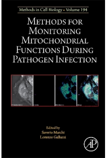 Methods for Monitoring Mitochondrial Functions During Pathogen Infection - Humanitas