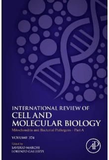 Mitochondria and Bacterial Pathogens - Part A - Humanitas