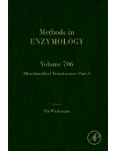 Mitochondrial Translocases Part A - Humanitas