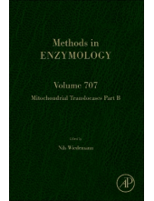Mitochondrial Translocases Part B - Humanitas