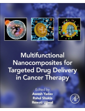 Multifunctional Nanocomposites for Targeted Drug Delivery in Cancer Therapy - Humanitas