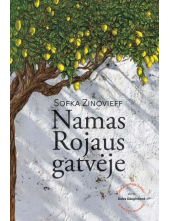 Namas Rojaus gatvėje - Humanitas