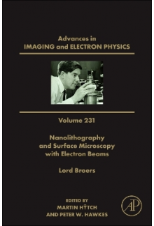 Nanolithography and Surface Microscopy with Electron Beams - Humanitas