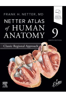 Netter Atlas of Human Anatomy: Classic Regional Approach 9th edition - Humanitas
