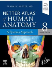 Netter Atlas of Human Anatomy: A Systems Approach - Humanitas