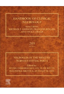Neuroglia in the Healthy Nervous System, Part I - Humanitas