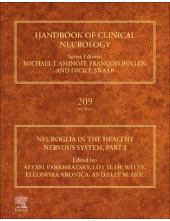 Neuroglia in the Healthy Nervous System, Part I - Humanitas