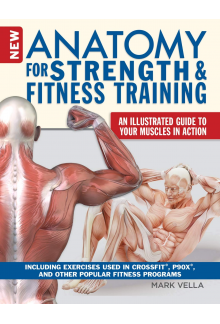 Anatomy for Strength and Fitne ss Training - Humanitas