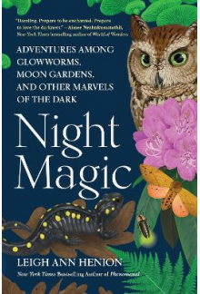 Night Magic - Humanitas