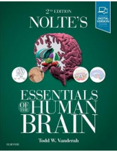 Nolte's Essentials of the Huma n Brain - Humanitas