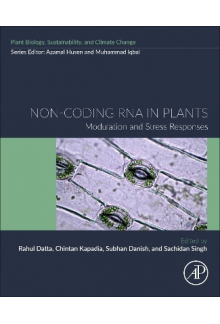 Non-coding RNA in Plants - Humanitas