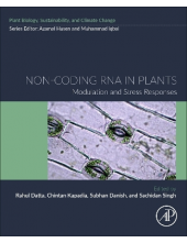 Non-coding RNA in Plants - Humanitas