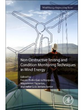 Non-Destructive Testing and Condition Monitoring Techniques in Wind Energy - Humanitas