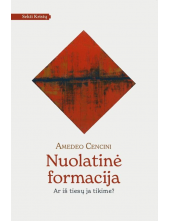 Nuolatinė formacija. Ar iš tiesų ja tikime? - Humanitas