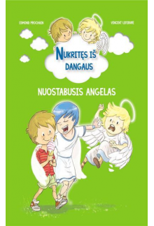 Nukitęs iš dangaus. Nuostabusis angelas - Humanitas