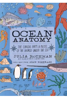 Ocean Anatomy - Humanitas