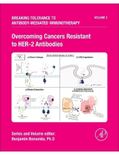 Overcoming Cancers Resistant to HER-2 Antibodies - Humanitas
