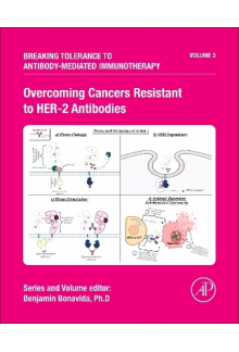 Overcoming Cancers Resistant to HER-2 Antibodies - Humanitas