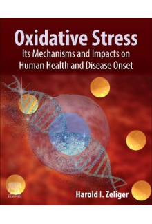Oxidative Stress - Humanitas