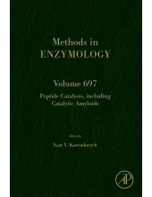 Peptide Catalysts, including Catalytic Amyloids - Humanitas