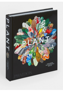 Plant: Exploring the Botanical World - Humanitas