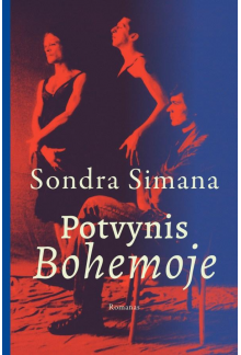 Potvynis bohemoje - Humanitas