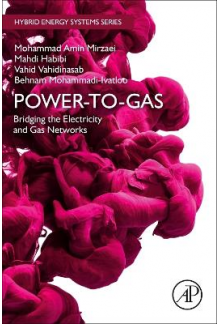 Power-to-Gas: Bridging the Electricity and Gas Networks - Humanitas