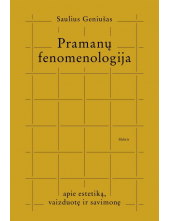 Pramanų fenomenologija. Apie estetiką, vaizduotę ir savimonę - Humanitas