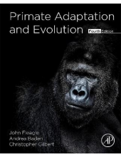 Primate Adaptation and Evolution - Humanitas