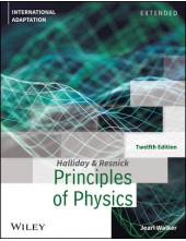 Principles of Physics; 3rd ed. International Adaptation - Humanitas