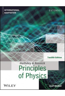 Principles of Physics; 3rd ed. International Adaptation - Humanitas