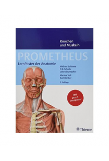 PROMETHEUS LernPoster der Anat omie 4 poster LATIN - Humanitas
