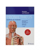 PROMETHEUS LernPoster der Anat omie 4 poster LATIN - Humanitas